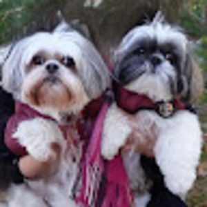 Meet your Posher, Gisela